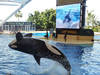 Visión general: Loro Parque