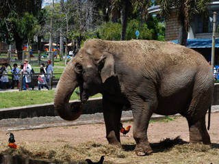 Zoo Villa Dolores © Zoo Villa Dolores