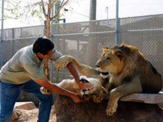 Southern Nevada Zoo © Southern Nevada Zoo