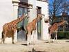 Visión general: Zoo Antwerpen
