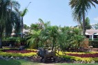 Busch Gardens Tampa Bay